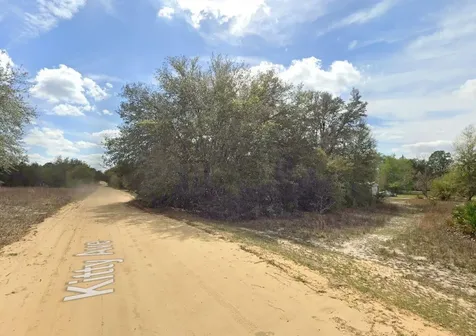 821 Kitty Avenue Interlachen FL 32148