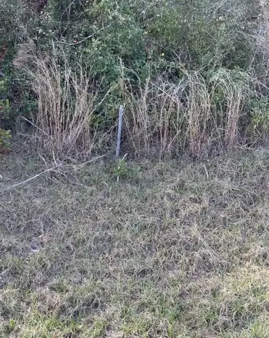 Victoria Parc Avenue Orange City FL 32763