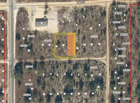 Tbd Chestnut Trail Interlachen FL 32148