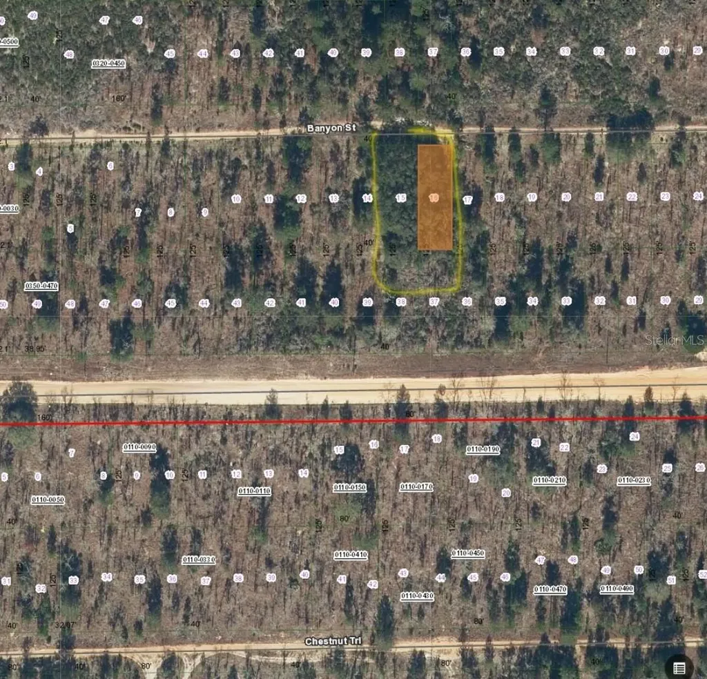 Tbd Banyan Street Interlachen FL 32148