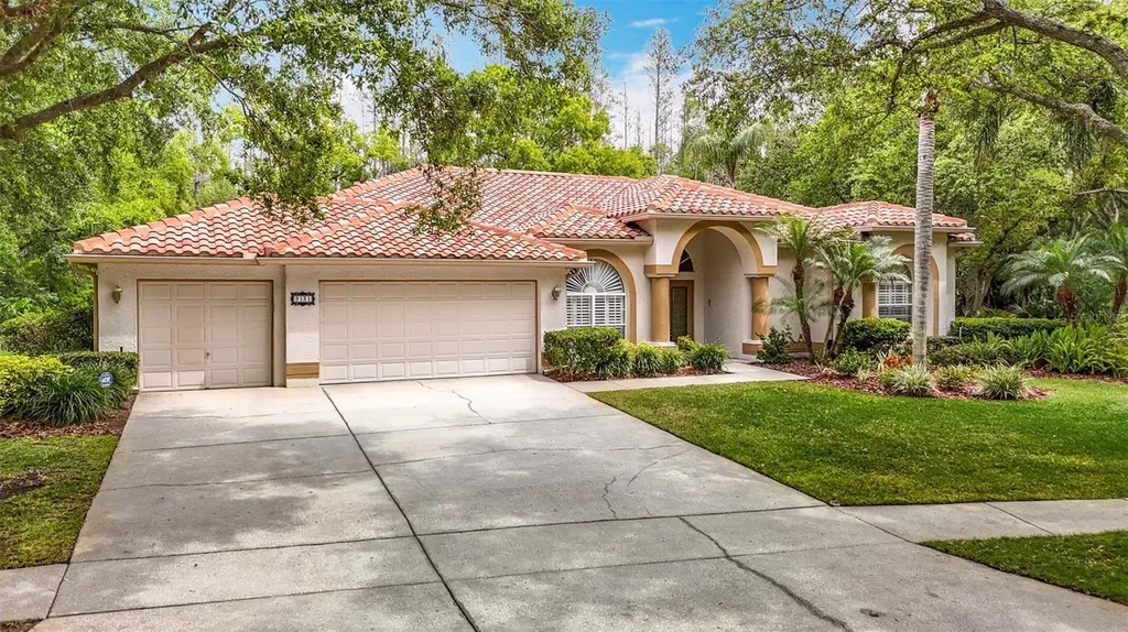 9131 Woodridge Run Drive Tampa FL 33647