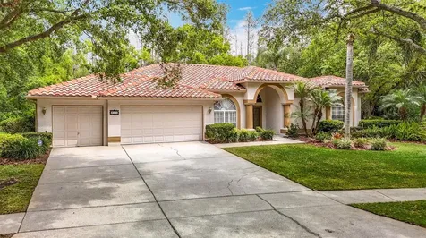 9131 Woodridge Run Drive Tampa FL 33647