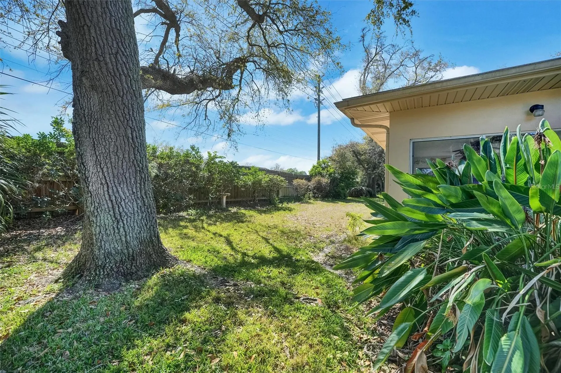 8420 Winding Wood Drive Port Richey FL 34668