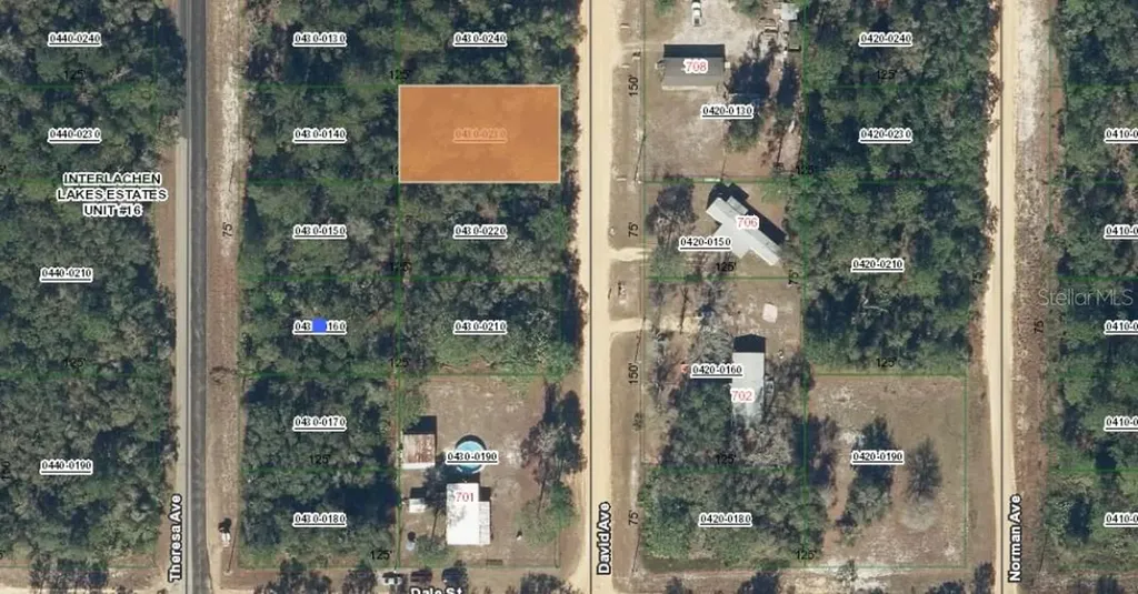 00 David Avenue Interlachen FL 32148
