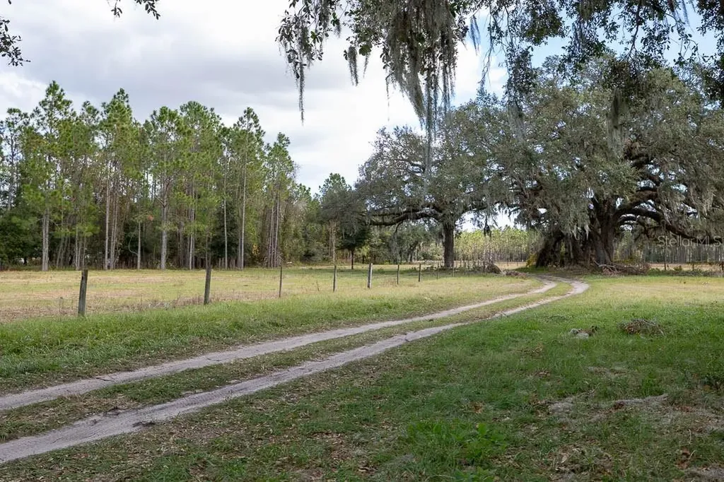 993 Cr 722 Webster FL 33597