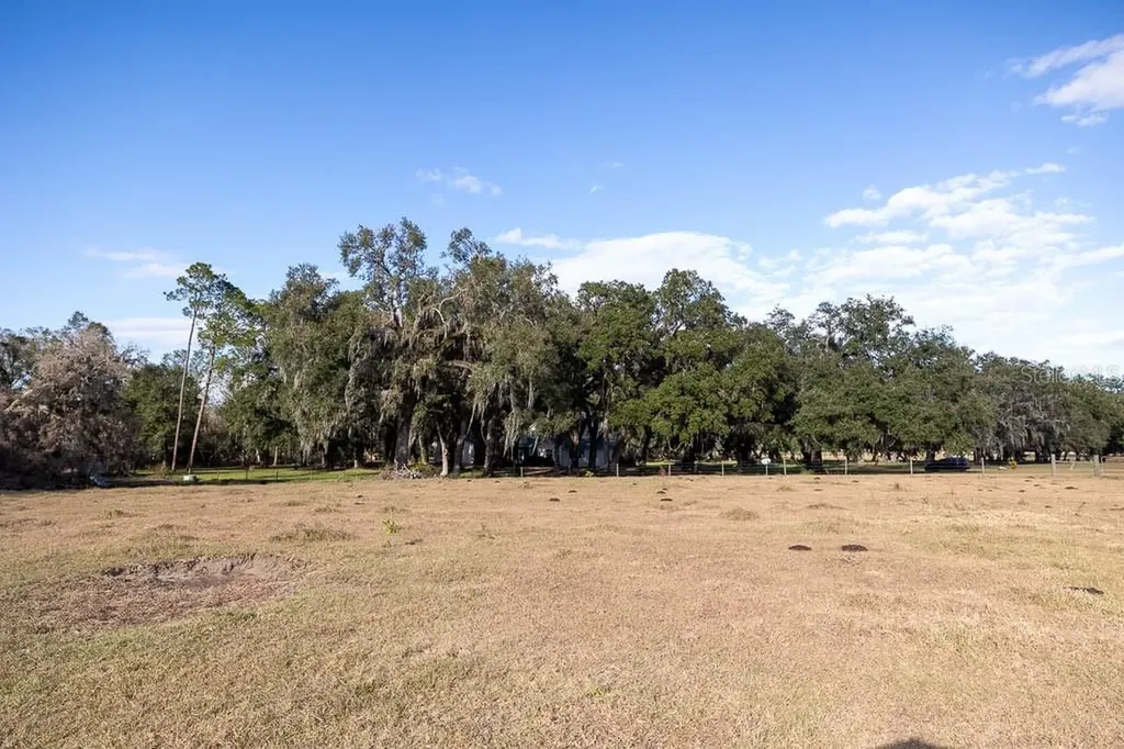 993 Cr 722 Webster FL 33597