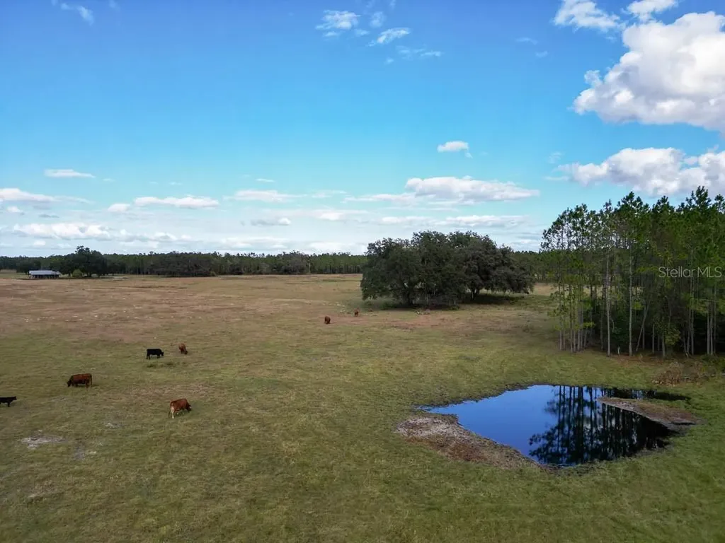 993 Cr 722 Webster FL 33597