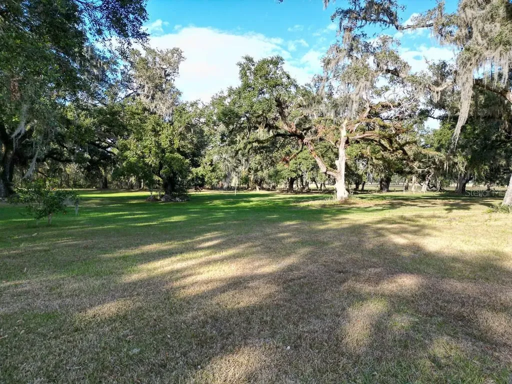 993 Cr 722 Webster FL 33597