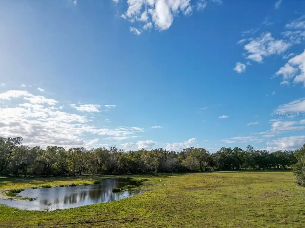 993 Cr 722 Webster FL 33597