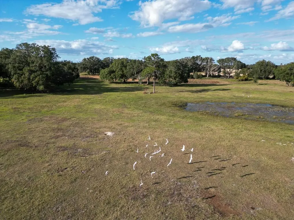 993 Cr 722 Webster FL 33597