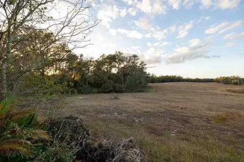 993 Cr 722 Webster FL 33597