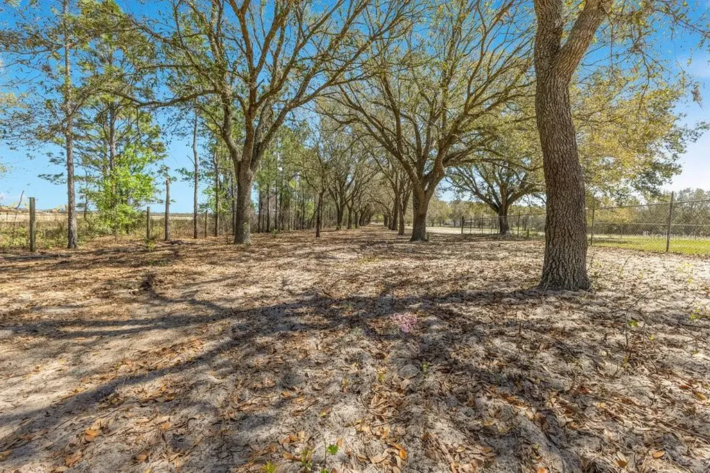 4649 Meadowland Drive Mount Dora FL 32757