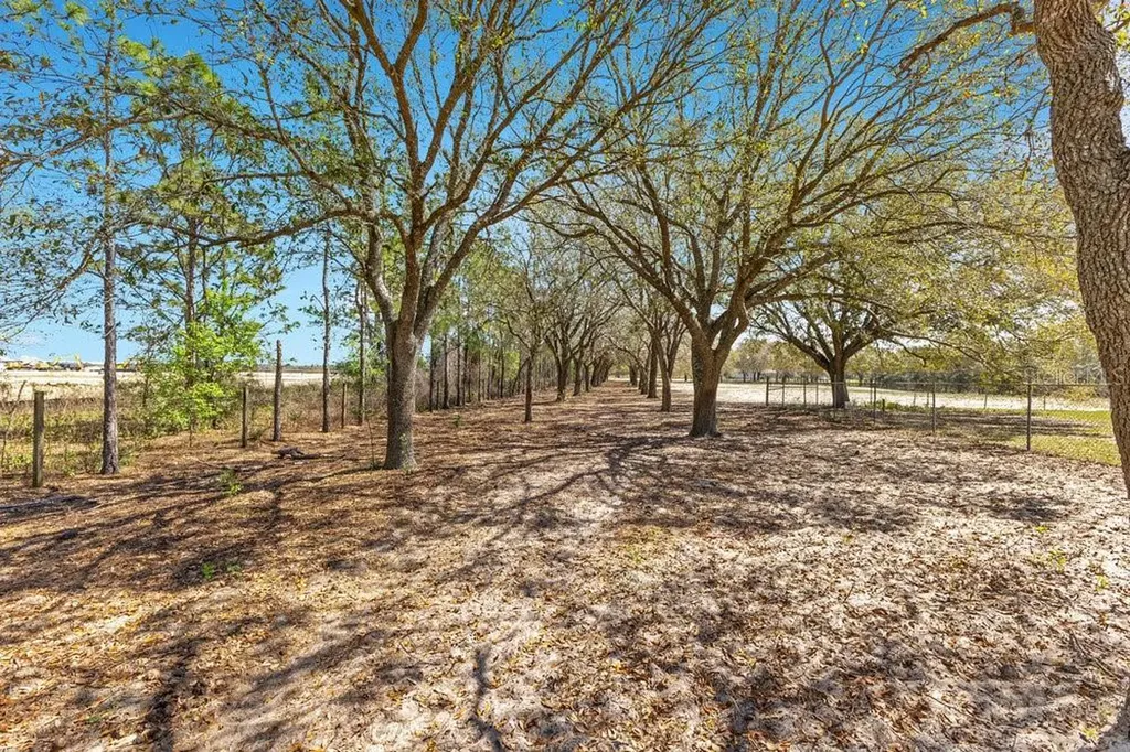 4649 Meadowland Drive Mount Dora FL 32757