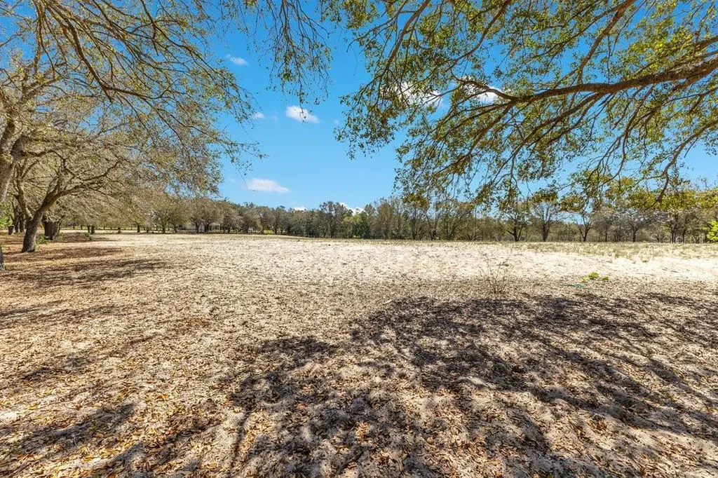 4649 Meadowland Drive Mount Dora FL 32757