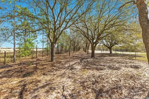 4649 Meadowland Drive Mount Dora FL 32757