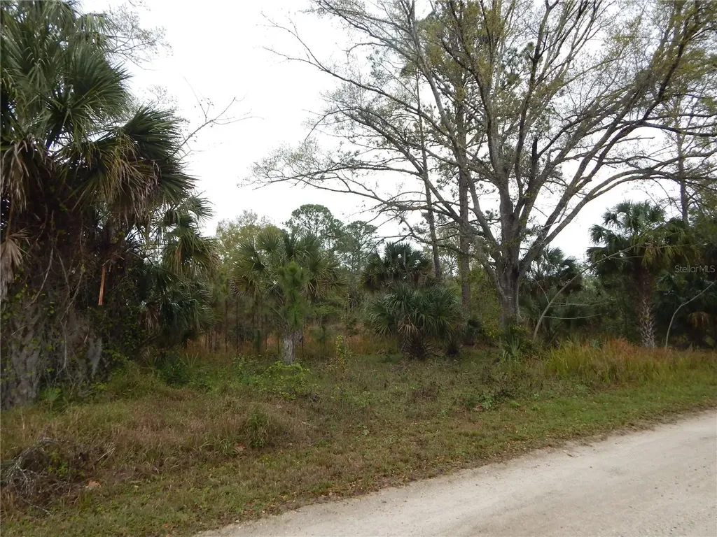 0 Robin Trail Kissimmee FL 34747