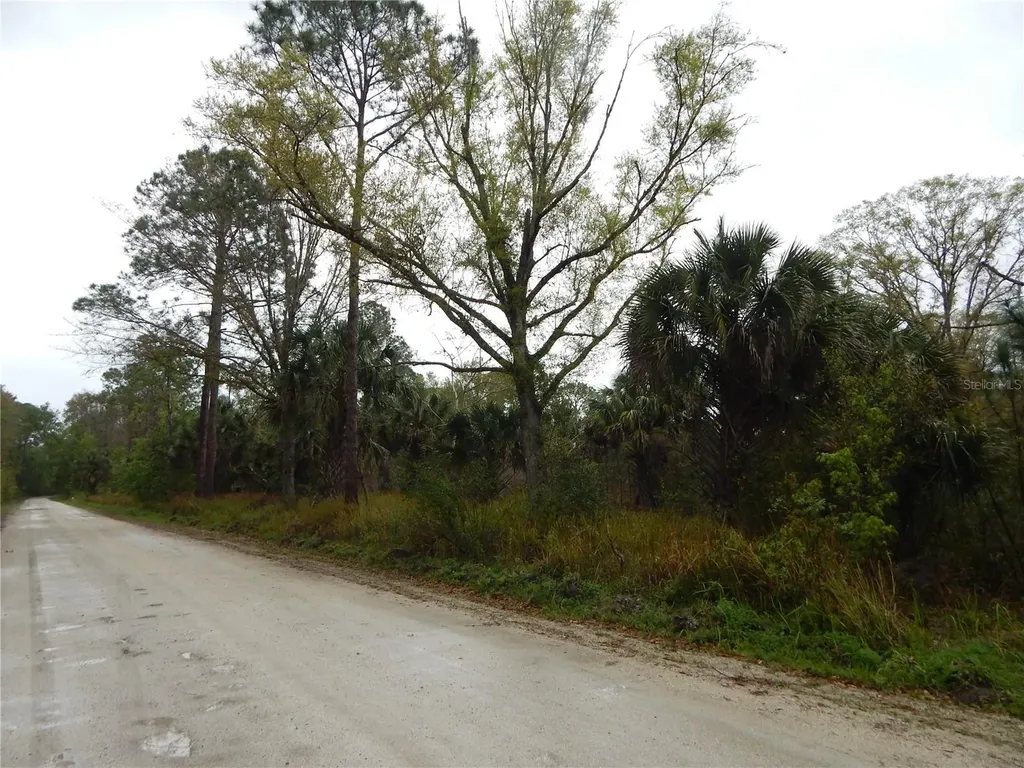 0 Robin Trail Kissimmee FL 34747