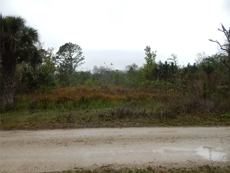 0 Robin Trail Kissimmee FL 34747