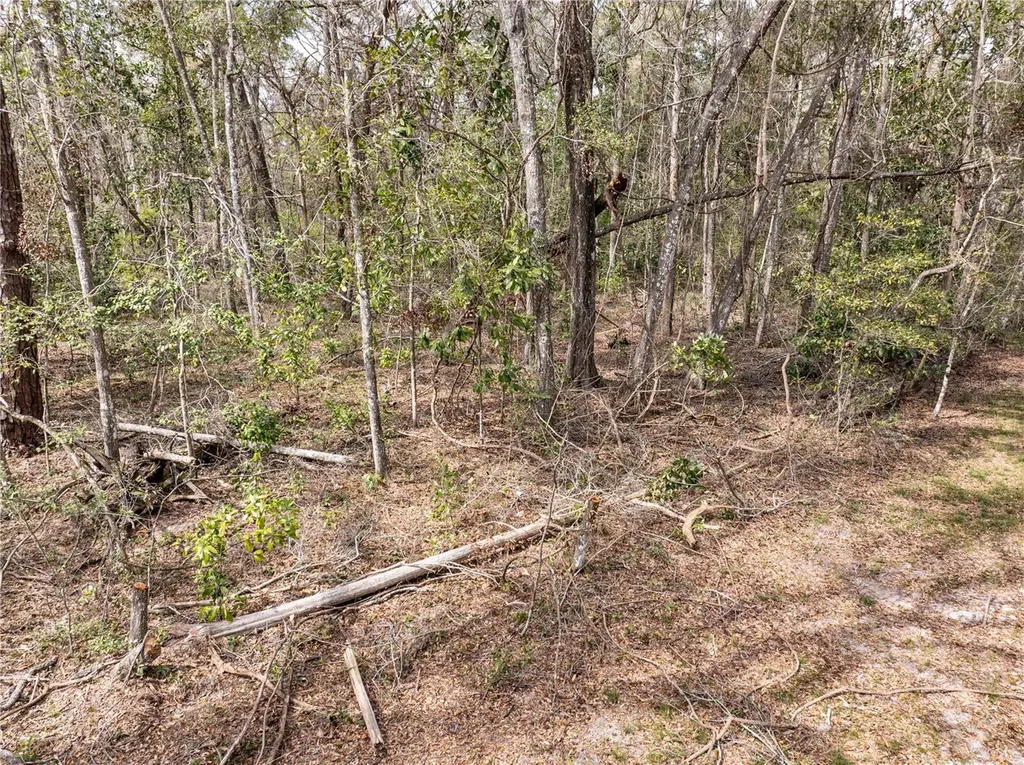 0 65th Place A Branford FL 32008