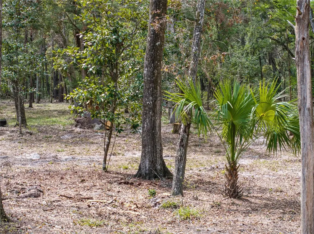 0 65th Place A Branford FL 32008
