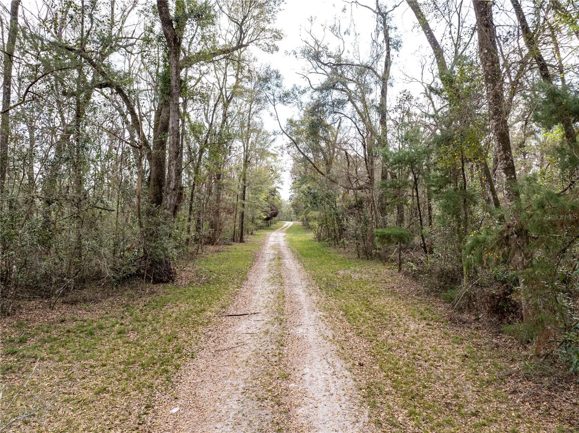 0 65th Place A Branford FL 32008