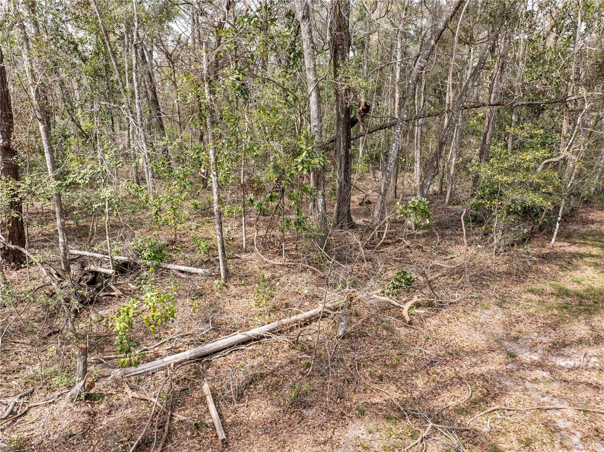 0 65th Place A Branford FL 32008