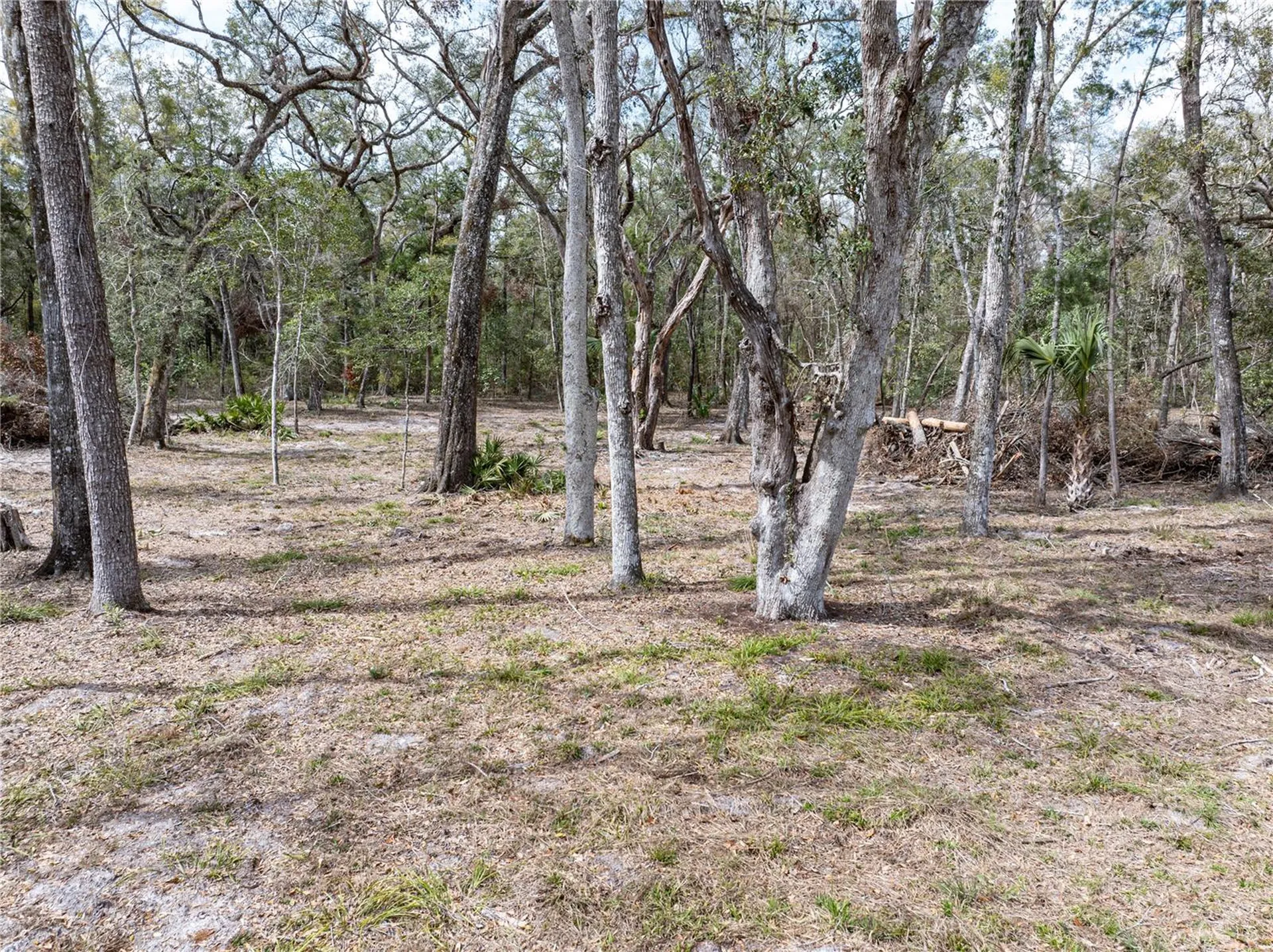 0 65th Place A Branford FL 32008