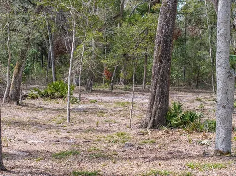 0 65th Place A Branford FL 32008