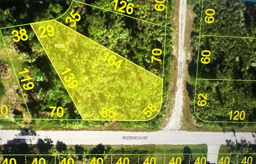 27098 Capistrano Drive Punta Gorda FL 33955