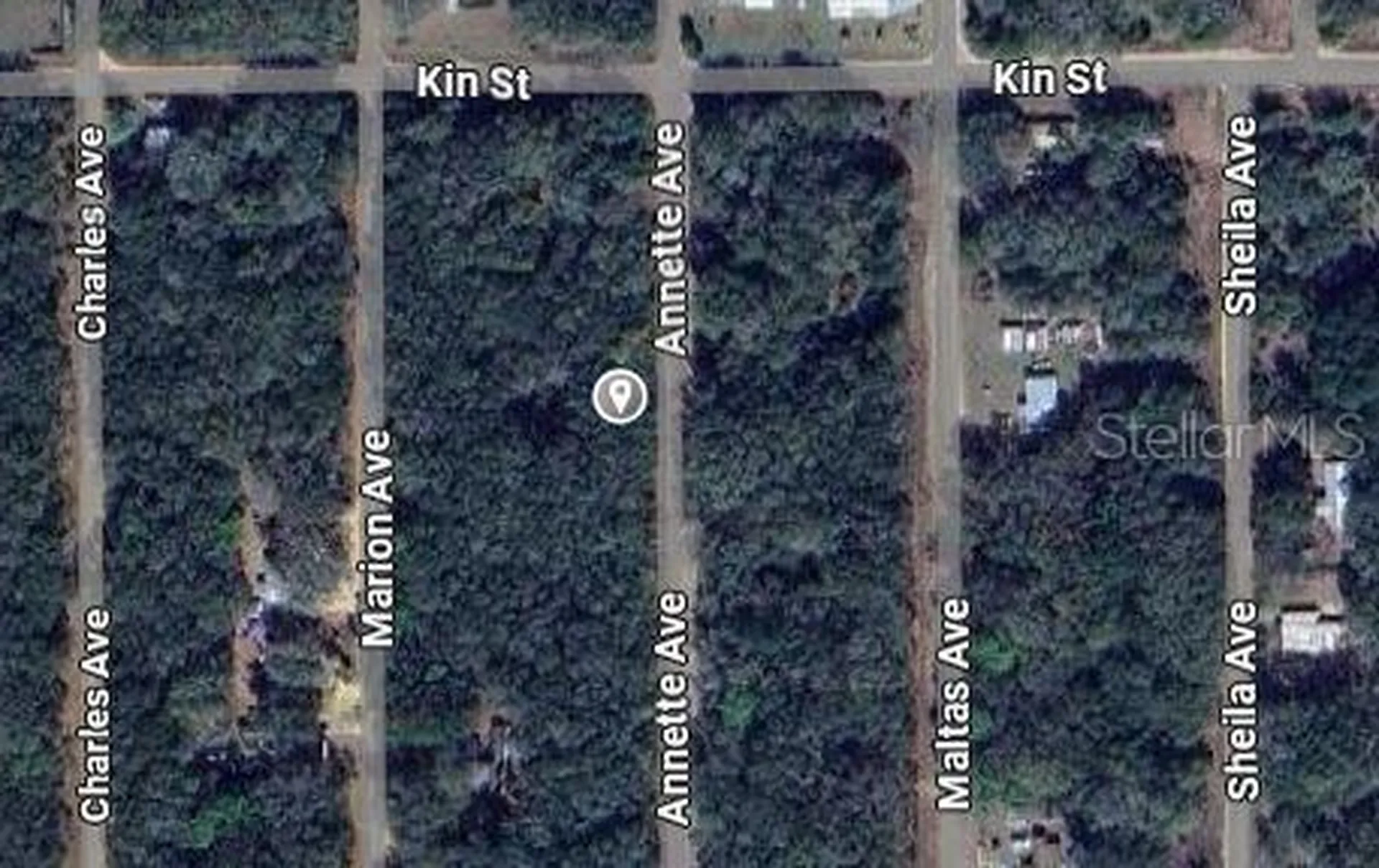 Annette Interlachen FL 32148