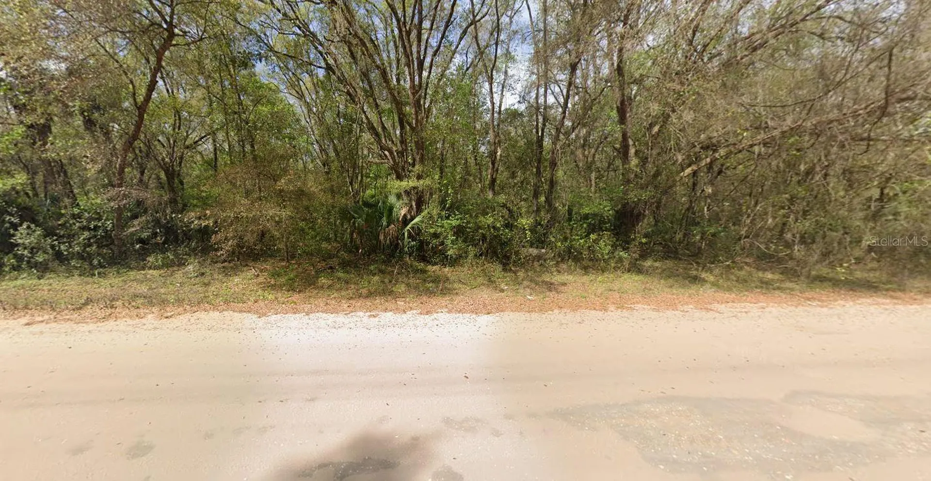 Annette Interlachen FL 32148