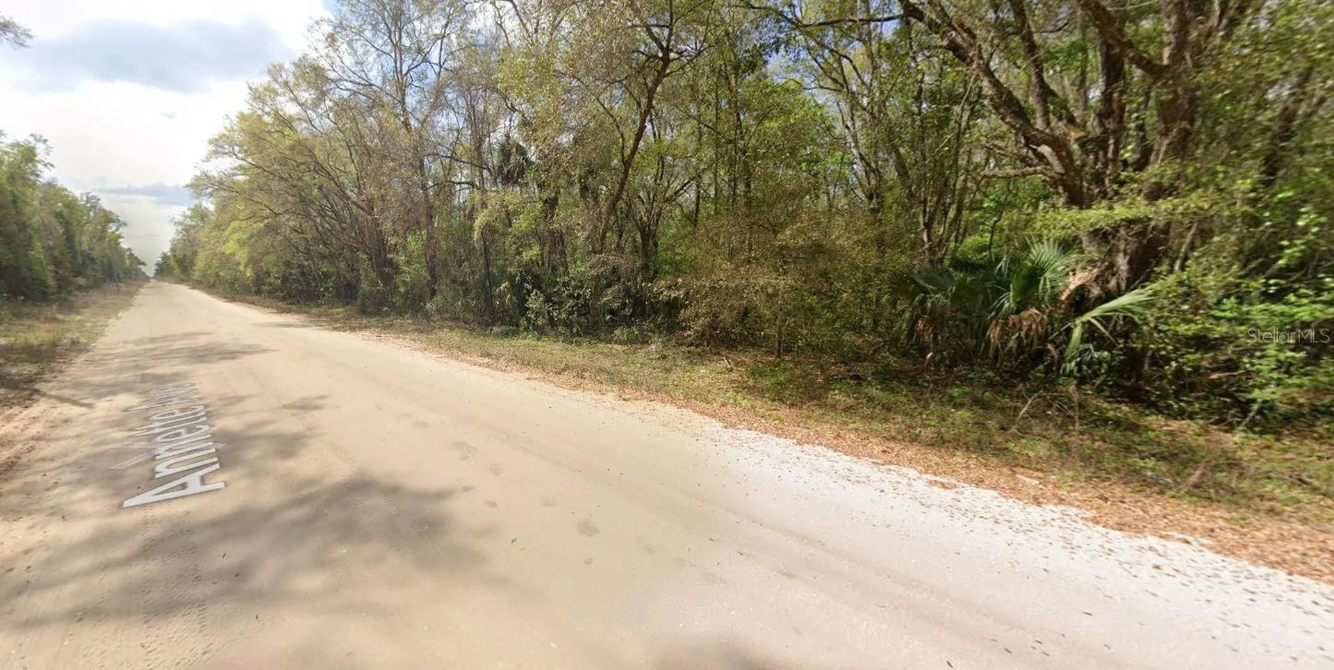 Annette Interlachen FL 32148