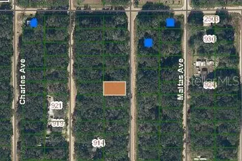 Annette Interlachen FL 32148