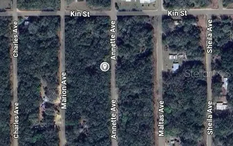 Annette Interlachen FL 32148