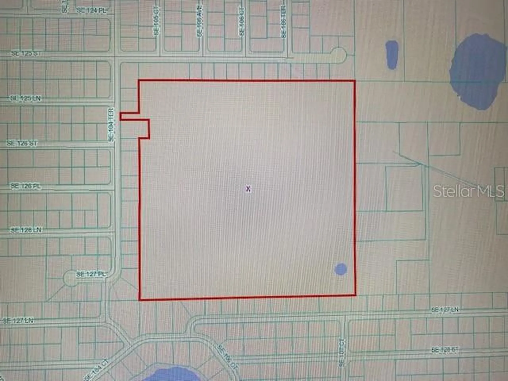 12557 SE 104th Terrace Belleview FL 34420