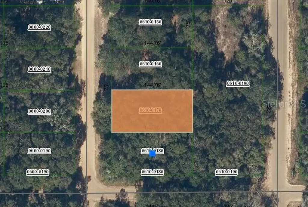 Marion Avenue Interlachen FL 32148