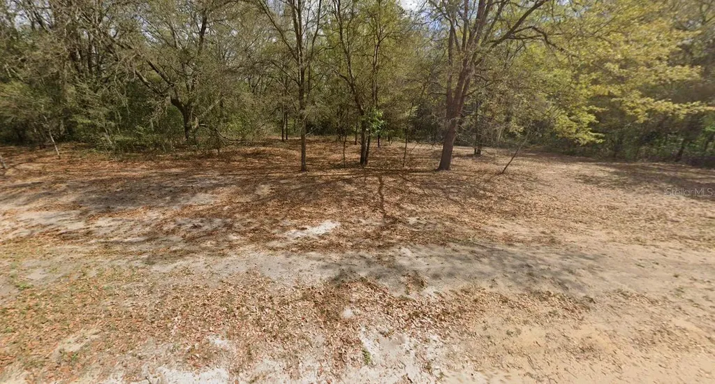 Marion Avenue Interlachen FL 32148