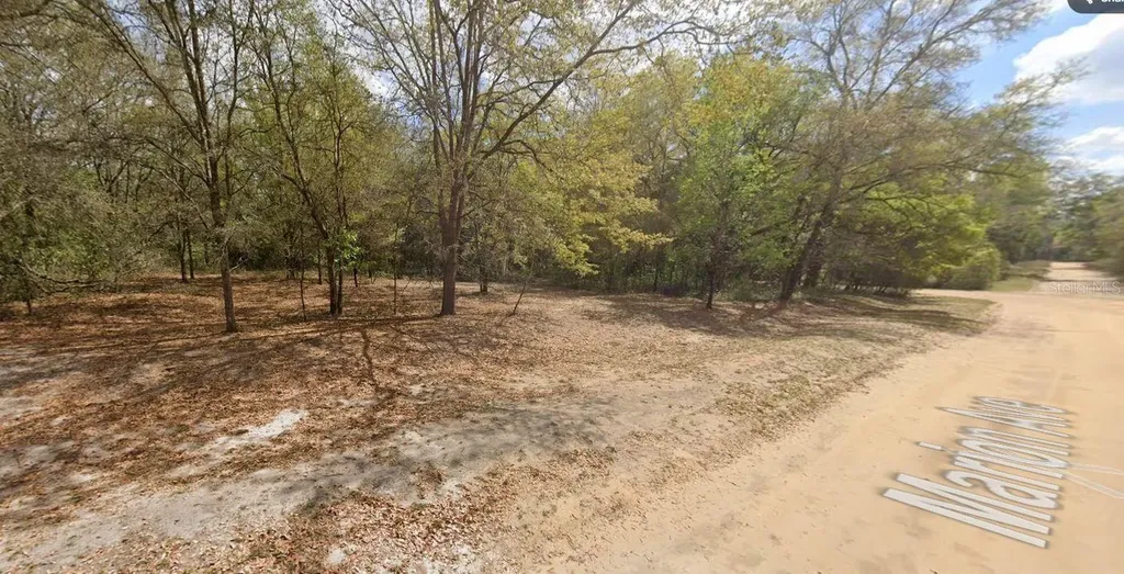Marion Avenue Interlachen FL 32148