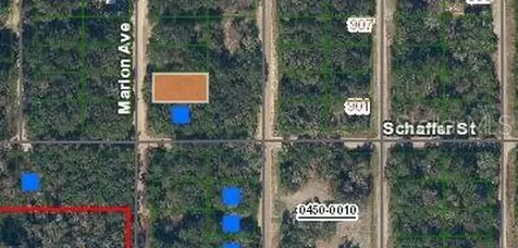 Marion Avenue Interlachen FL 32148