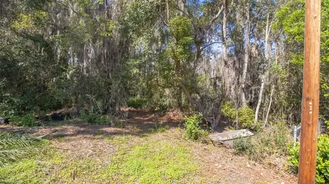 00 SE 5th Avenue Melrose FL 32666