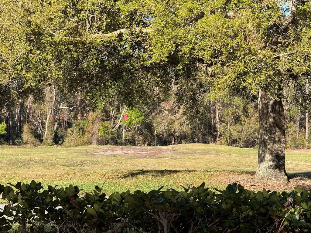 25527 Oak Alley Leesburg FL 34748