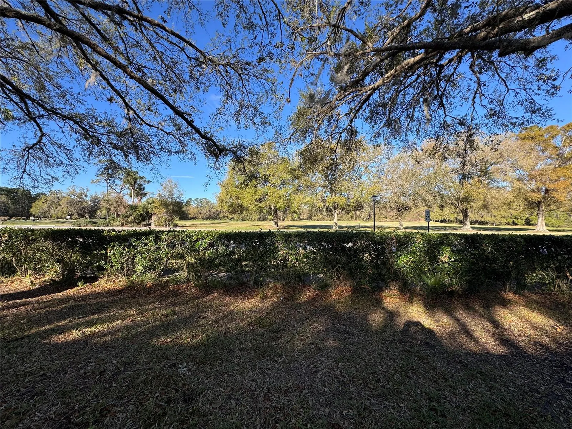 25527 Oak Alley Leesburg FL 34748