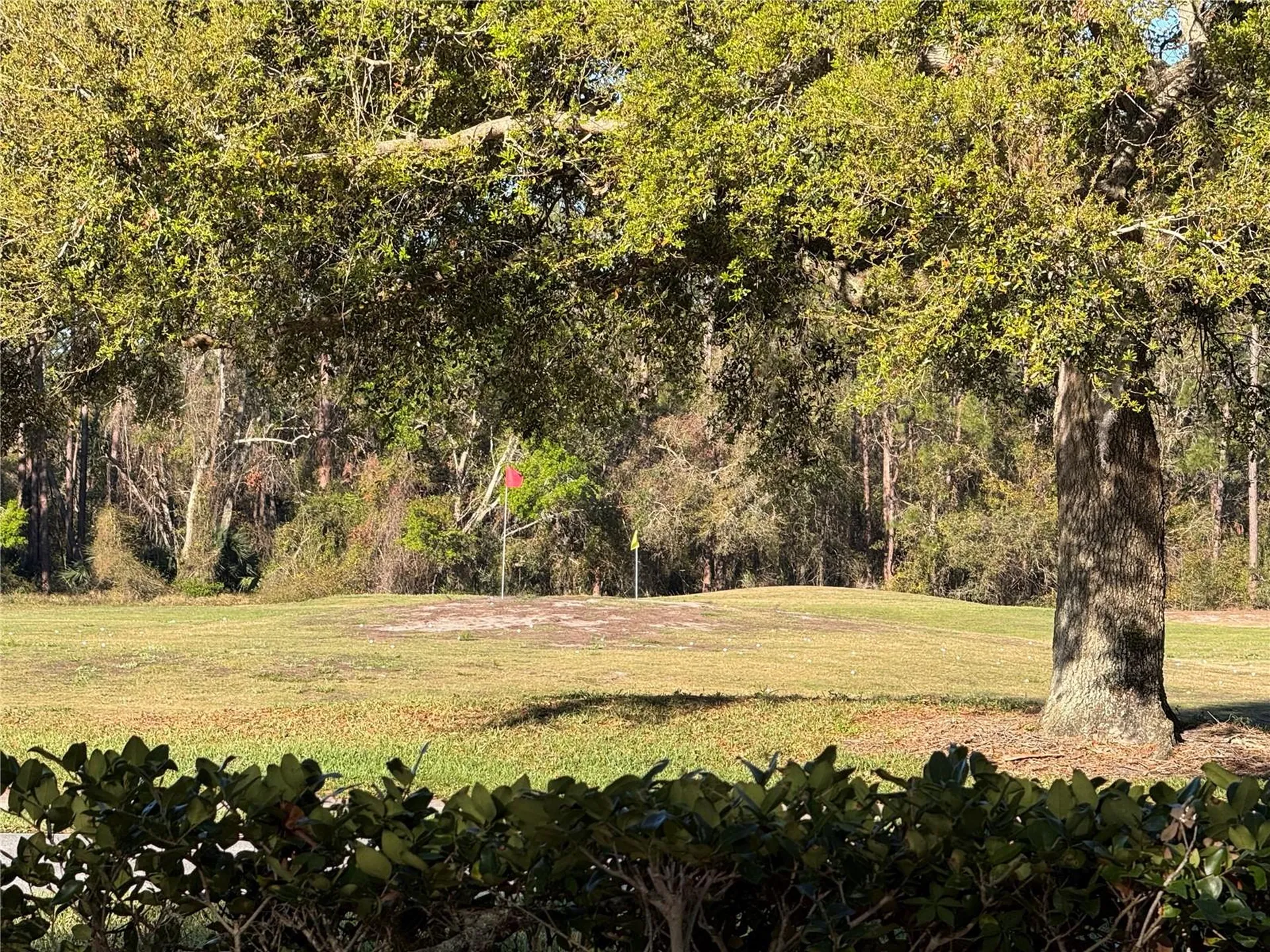 25527 Oak Alley Leesburg FL 34748