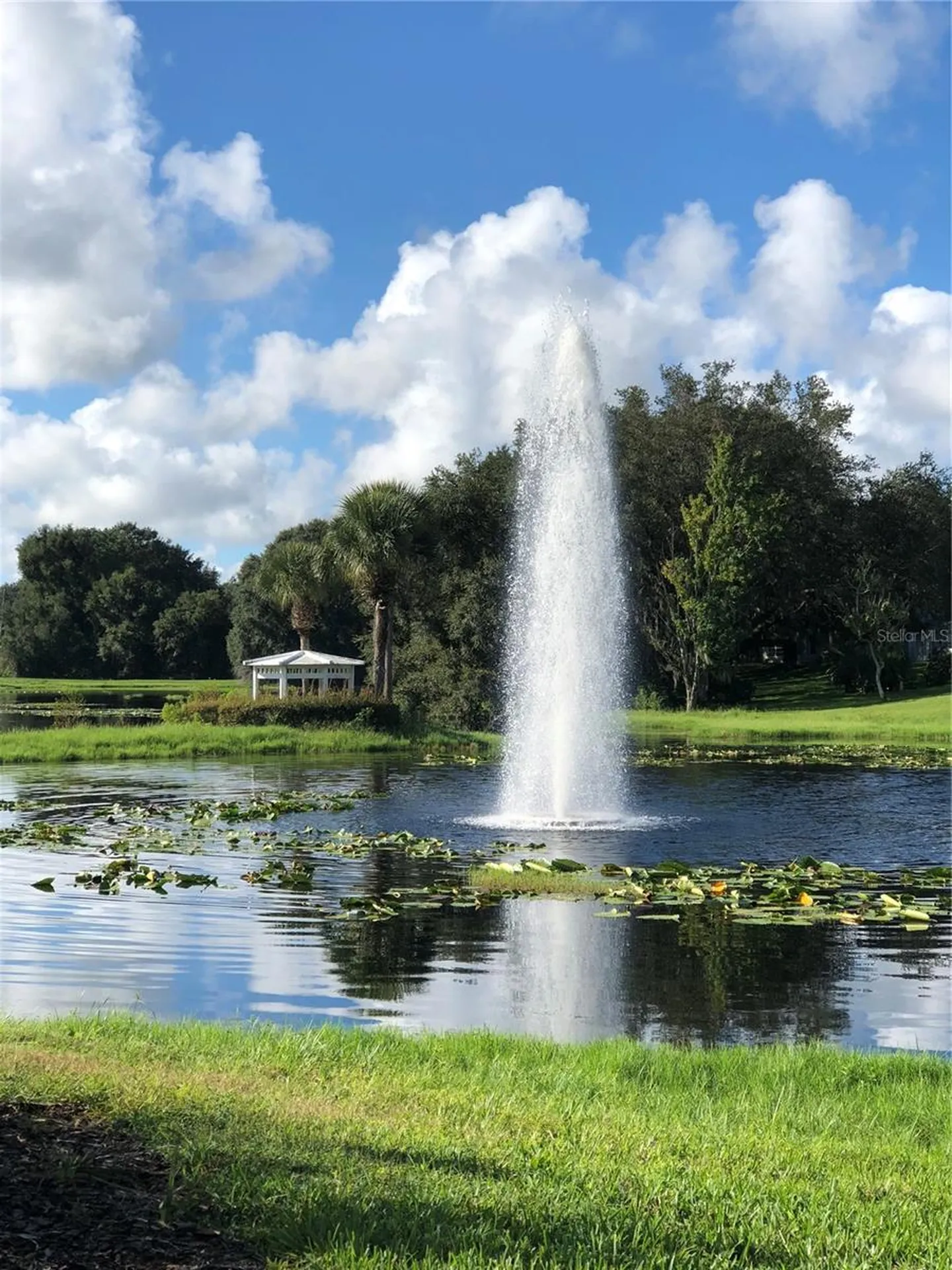 25527 Oak Alley Leesburg FL 34748