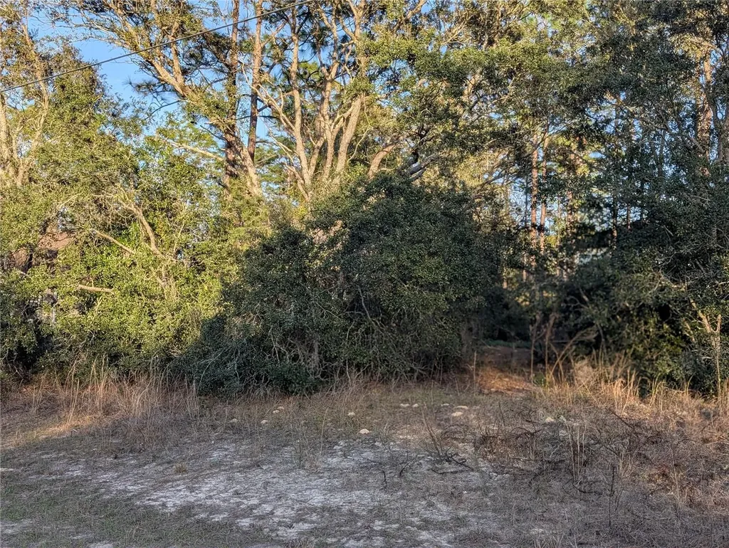 8949 N Lansen Way Citrus Springs FL 34433