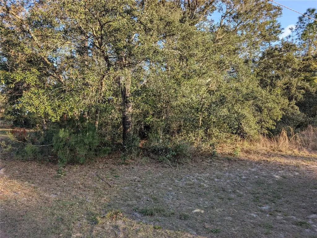 8949 N Lansen Way Citrus Springs FL 34433