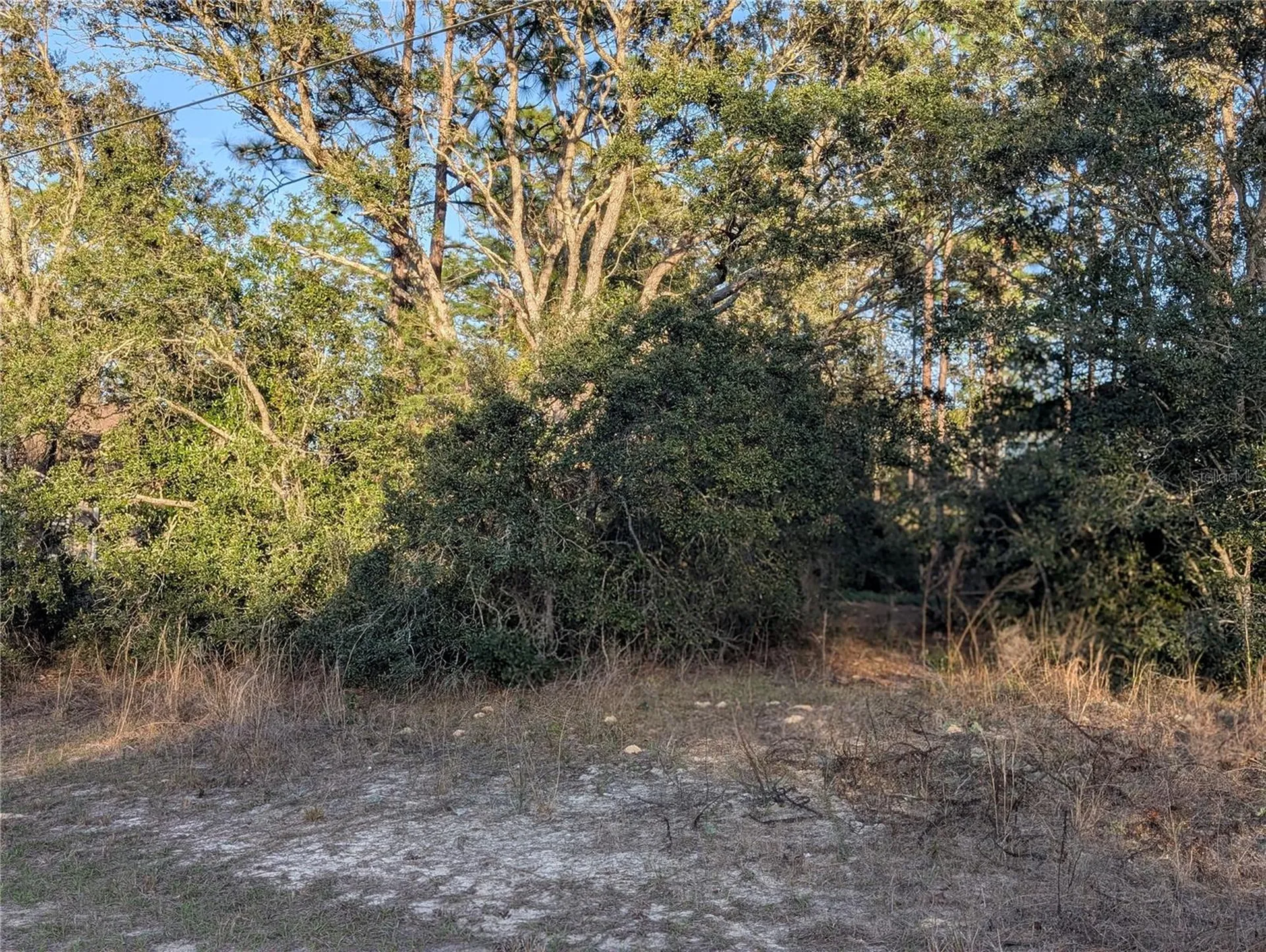 8949 N Lansen Way Citrus Springs FL 34433