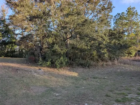8949 N Lansen Way Citrus Springs FL 34433