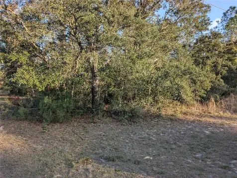 8949 N Lansen Way Citrus Springs FL 34433