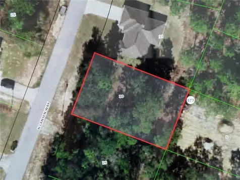 8949 N Lansen Way Citrus Springs FL 34433